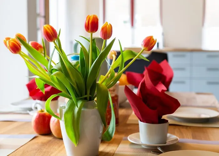 度假居 Reetdachkate